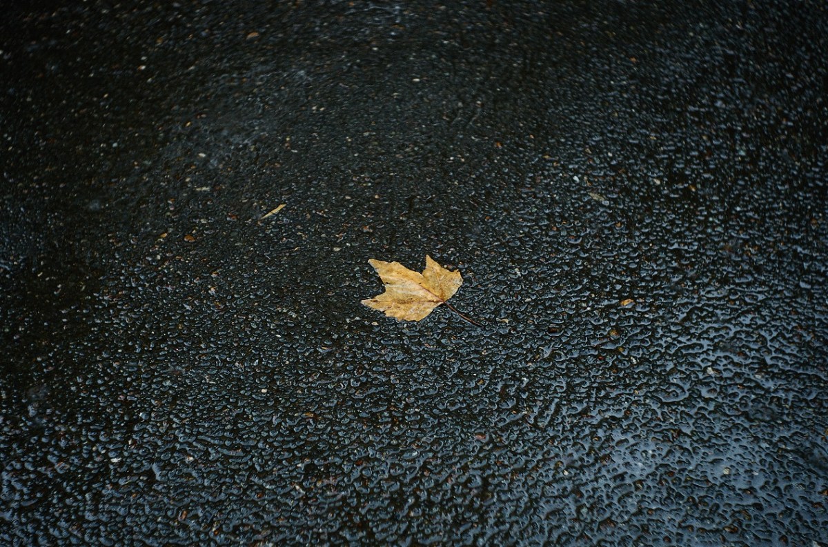 _DSC6105 blog.jpg
