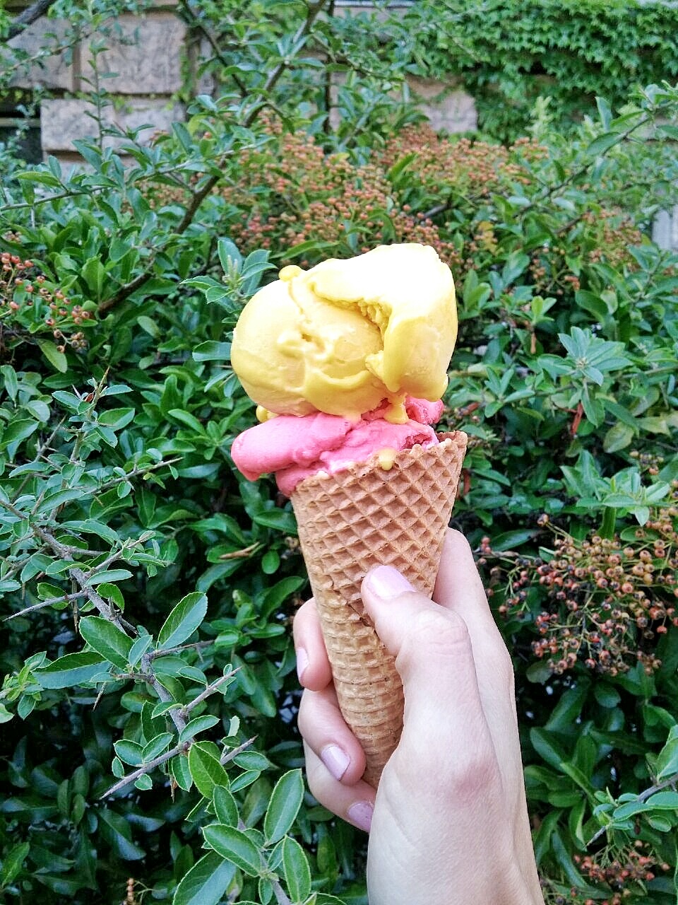 image-0-02-01-58e5693f21adab0aa3c0a3957688d06fdf5e0bdb167a85b00cb21b447f974448-V-01