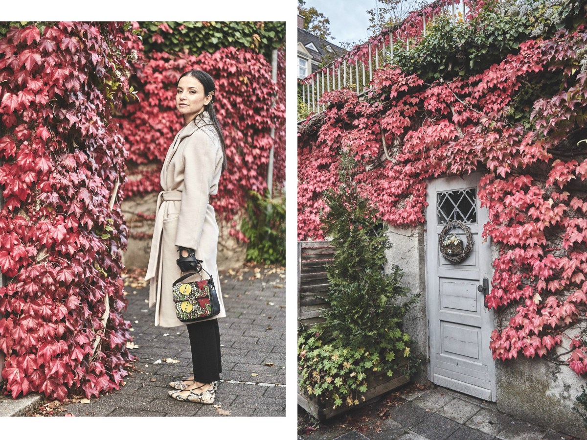 BeFunky Collage2.jpg